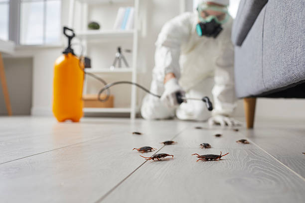 Commercial Kitchen Cockroach Control in Broken Arrow